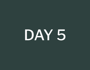 day 5