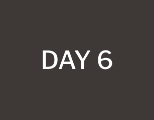 day 6