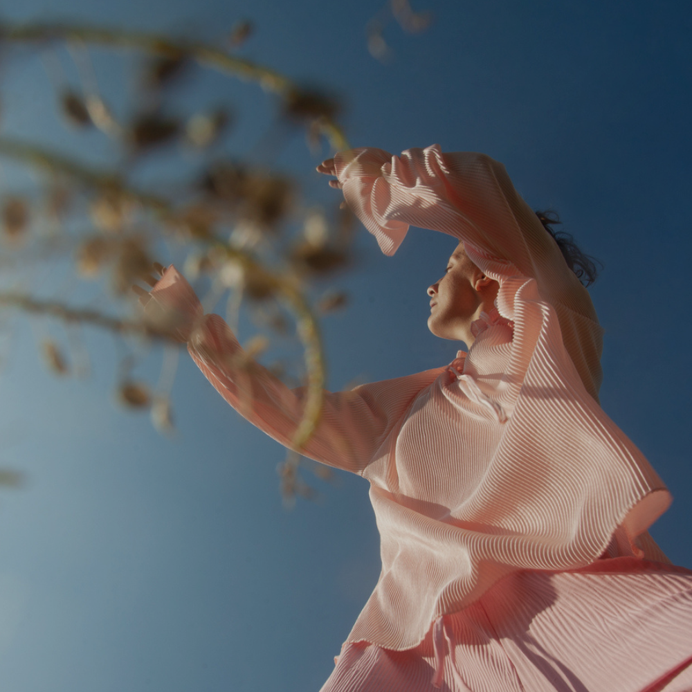 Woman in a pink dress reaching towards a tree branch against a blue sky.