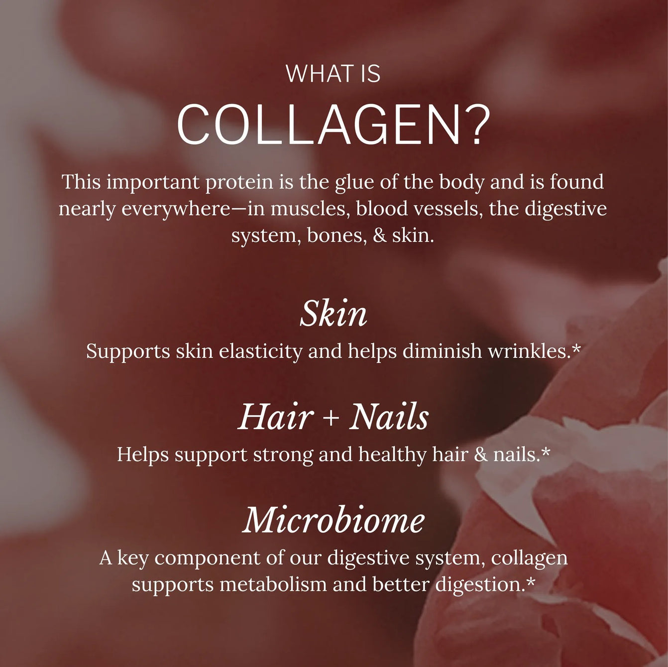 Alaya Multi Collagen